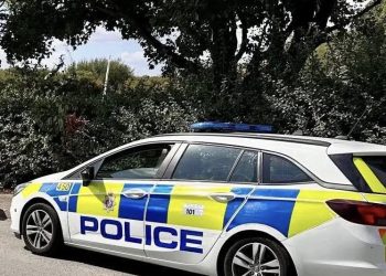 Appeal to identify van driver after rider thrown from horse