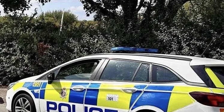 Appeal to identify van driver after rider thrown from horse
